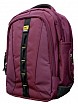 Back Pack Executive