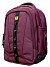 Back Pack Executive